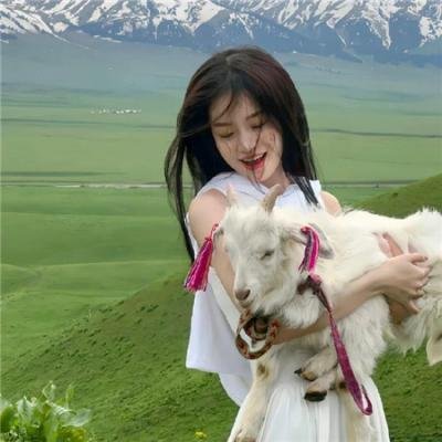 救起池中的猎豹