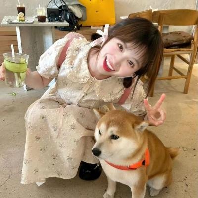 世界的角落是晚餐
